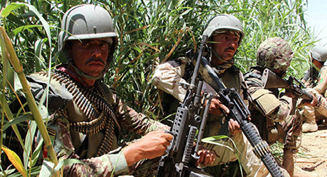 95 Percent of Helmand Under Taliban Control